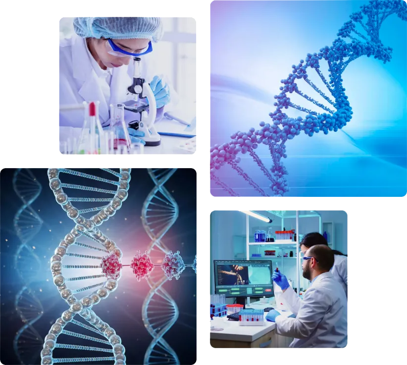 Hakkımızda